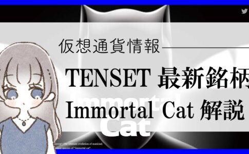 【TENSETダイヤモンドスポンサー】初の仮想通貨NFTプロジェクト「Immortal Cat」